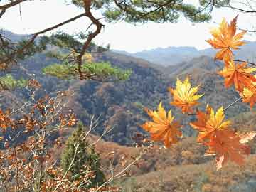 多地人财两旺拥抱“泼天流量” 文旅经济迎高峰